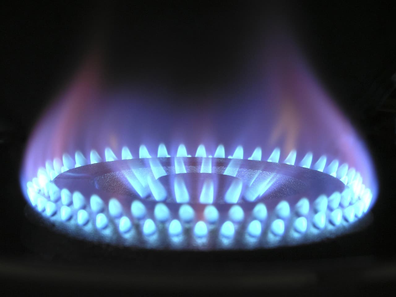 A ring of blue gas flames on a burner, lit in the dark